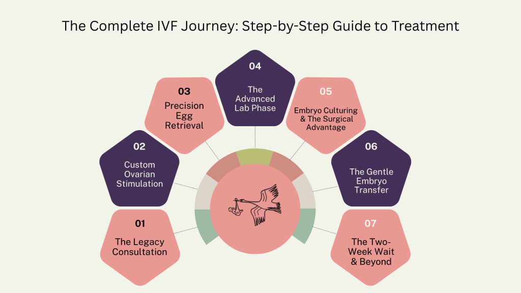 Infographic showing the complete IVF journey step-by-step from consultation to embryo transfer and two-week wait.