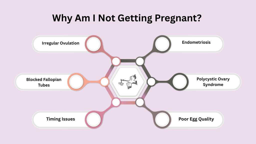 Why am I not getting pregnant causes – irregular ovulation, PCOS, endometriosis, blocked fallopian tubes and common fertility issues explained
