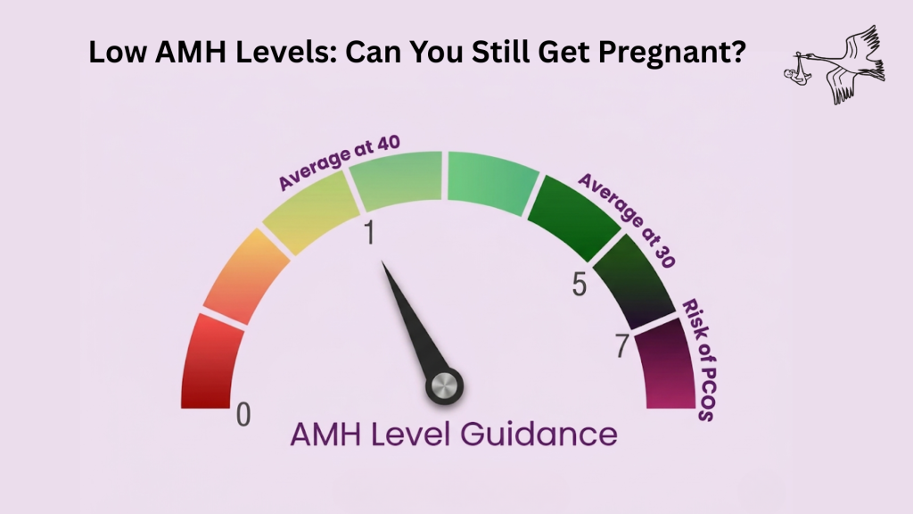 Low AMH levels fertility chart showing ovarian reserve and pregnancy chances by age