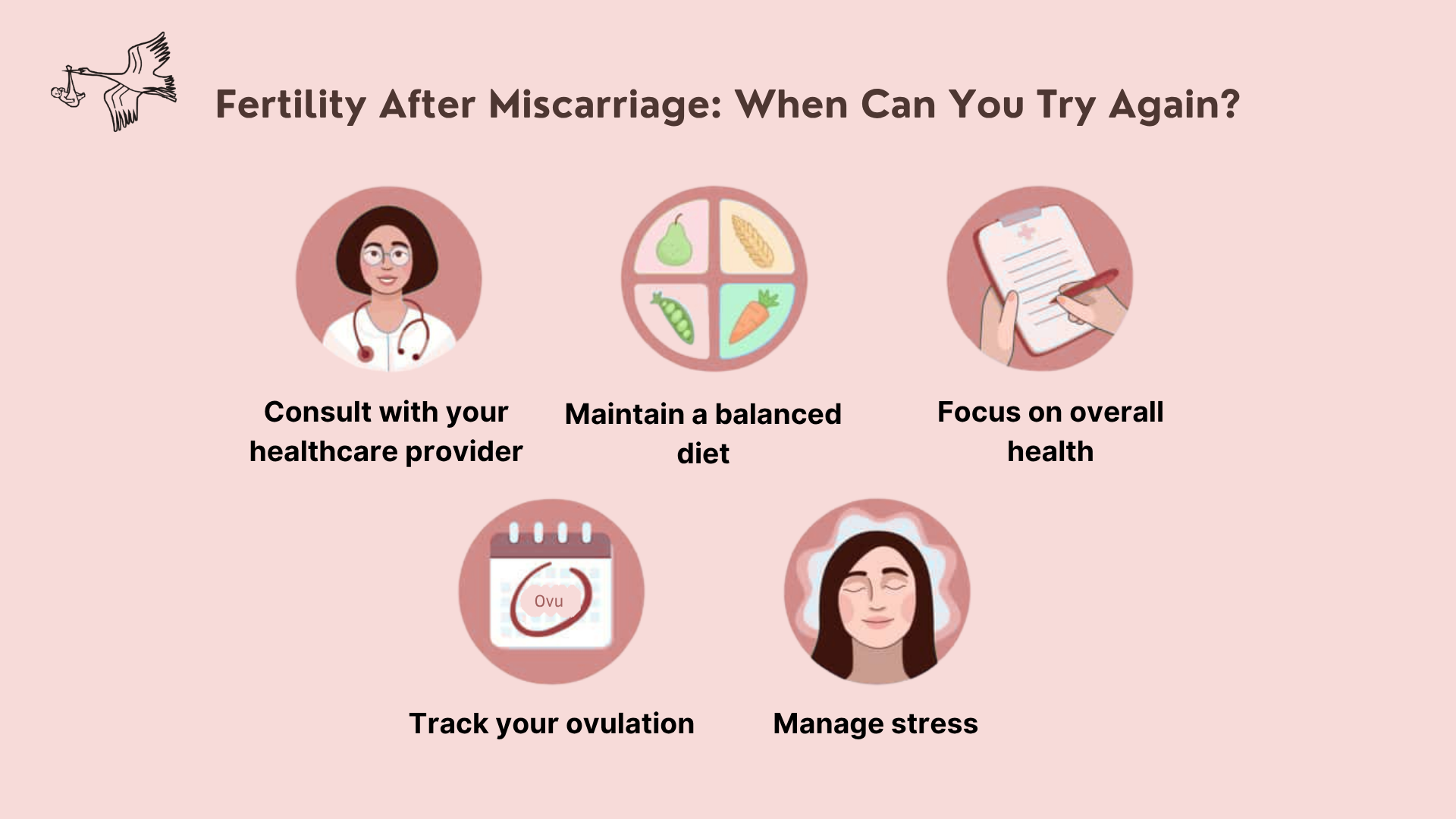 Fertility After Miscarriage: When Can You Try Again?